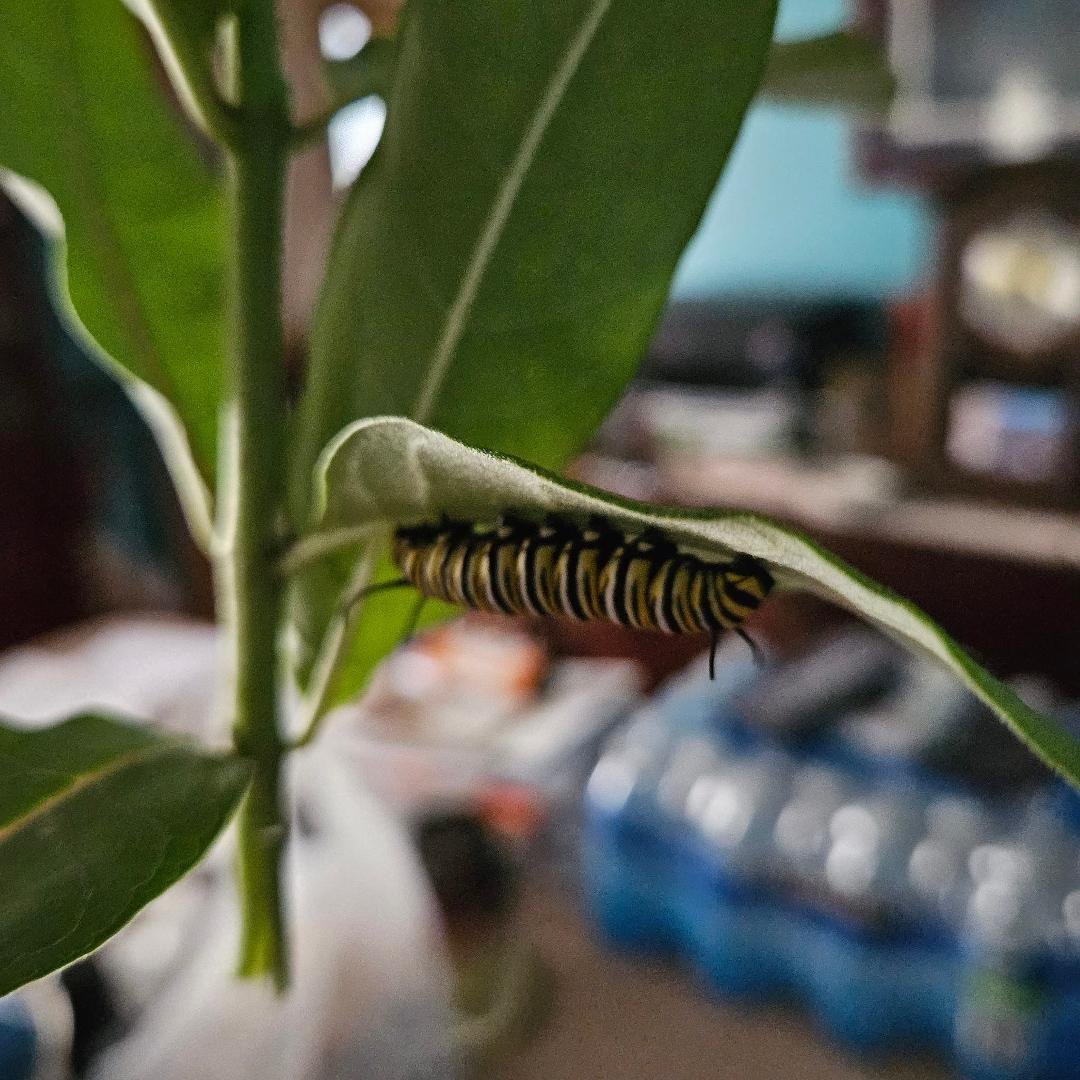 My new friend
