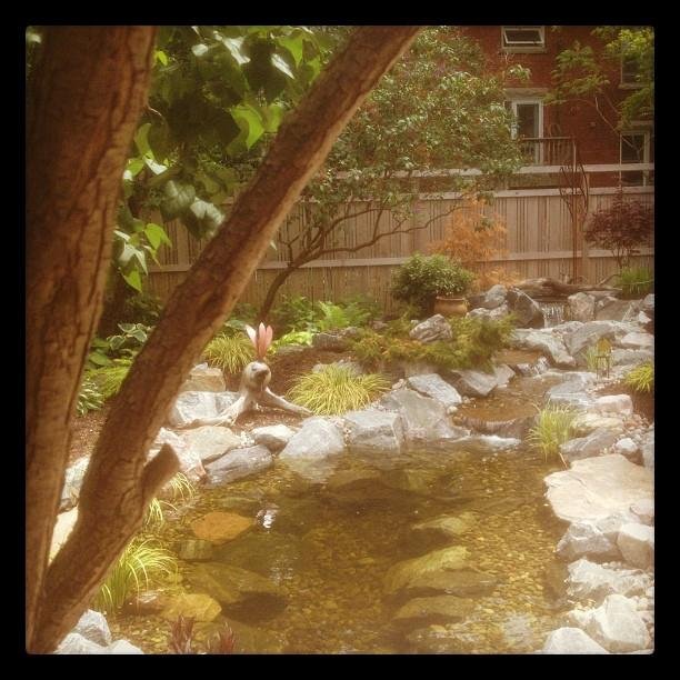 Great day for yard work. Getting thirsty though. http://instagr.am/p/LI-HwukbYi/