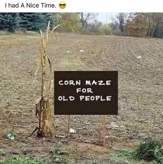 Corn maze