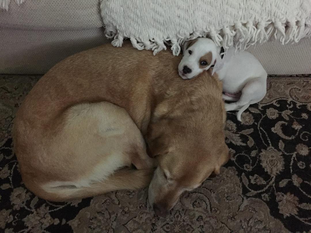 Buddies?