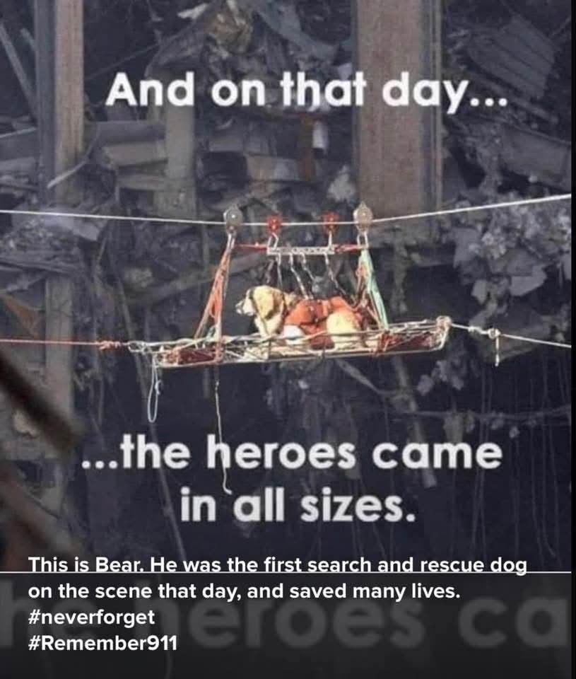God Bless America. Never Forget! Semper Avanti!!!