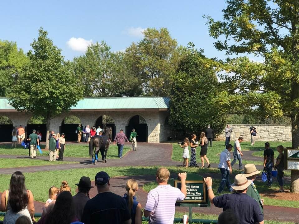 Another beautiful day at the races!