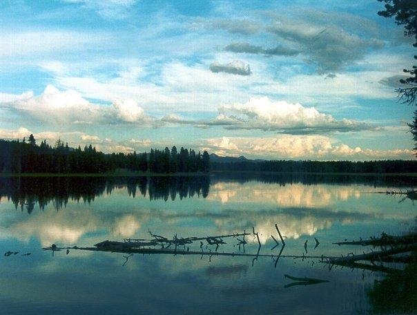 Ron Wirch's album, Some of my most meaningful pictures