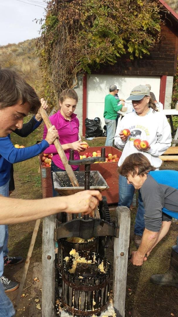 Such a fun afternoon - Cider Pressing party at the home of nearby friends. This cider press is about 100 years old; we pressed a full bin of galas and goldens. Great time!