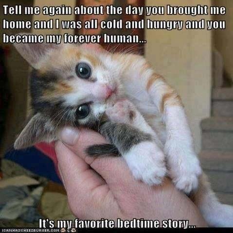 William Albert's album, Timeline Photos