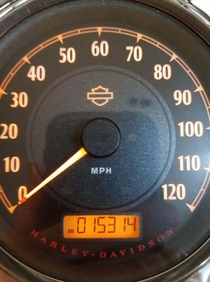 I definitely didn't win. Only 198 mi.