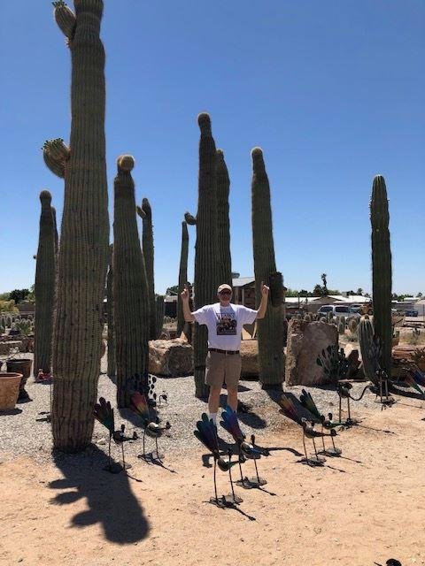 Cactus- a common sighting
