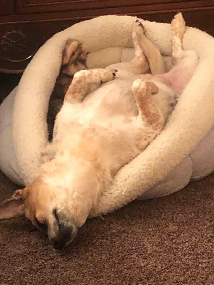 Total relaxation