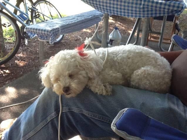 sandy devine's album, Timeline Photos