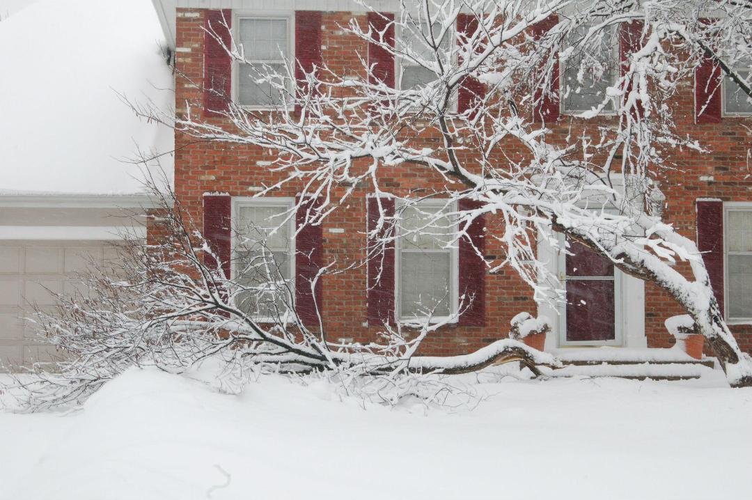 Tim McCuiston's album, Kansas City snowmageddon 2013