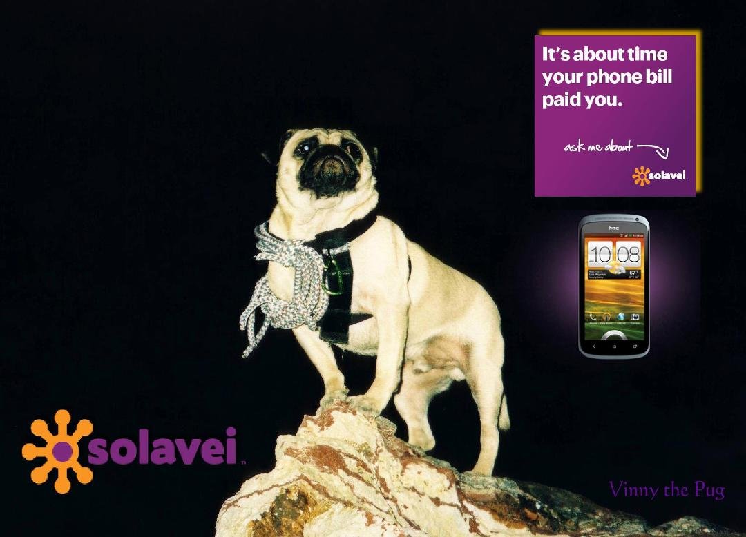 Vinny the Pug’s SOLAVEI
Isn’t it about time Your Cell Phone Start paying You?
“Vinny the Pug” is harnessing the power of SOLEVEI to create Economic Linkage between Mobile Service, Social Commerce and Social Networking