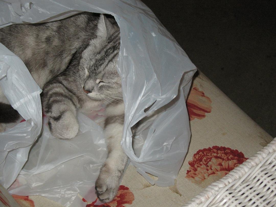 So.... sometimes I like to sleep in a plastic bag. Everyone has their little things they do. I'll bet you do too.... don't lie. :-)