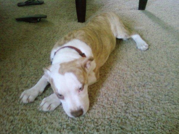 Ron Beyer's album, Bubba