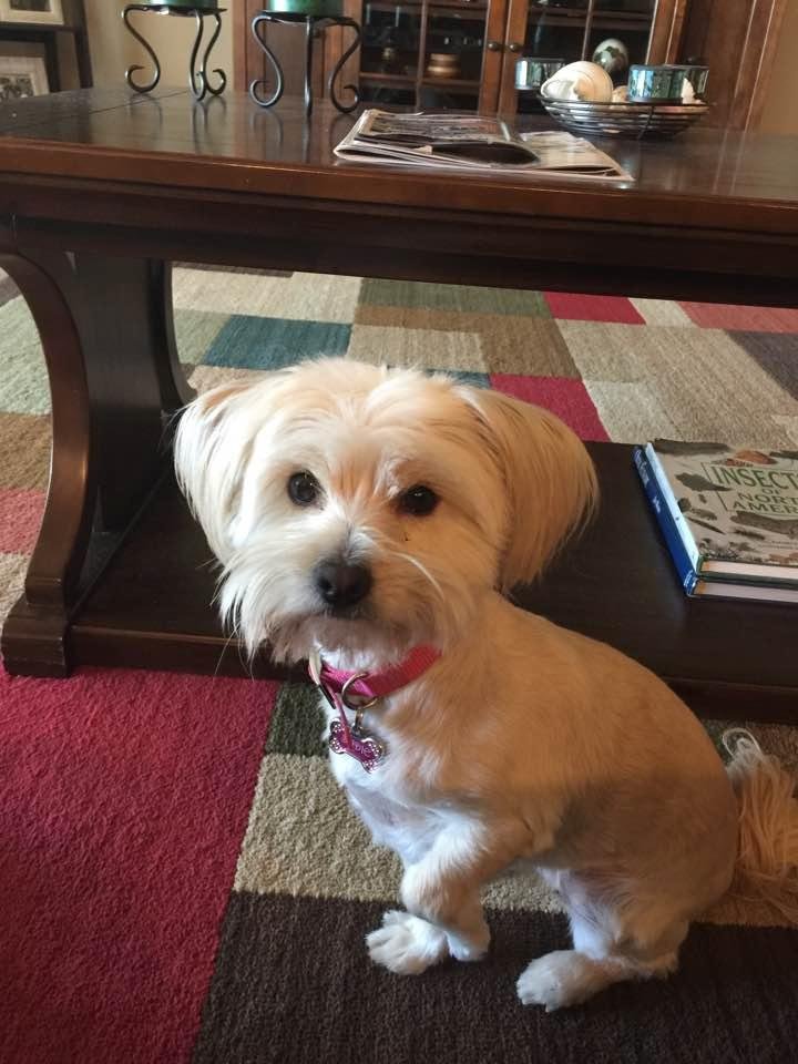 Love my Sadie!
