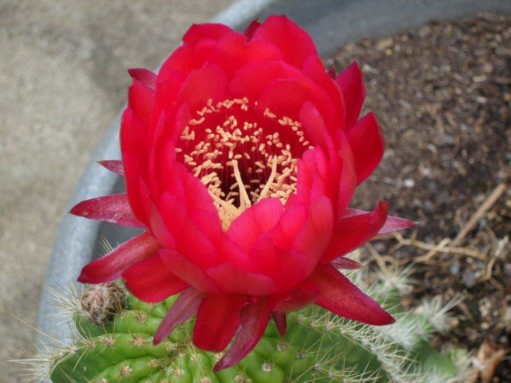 Pam Koch's album, Timeline Photos