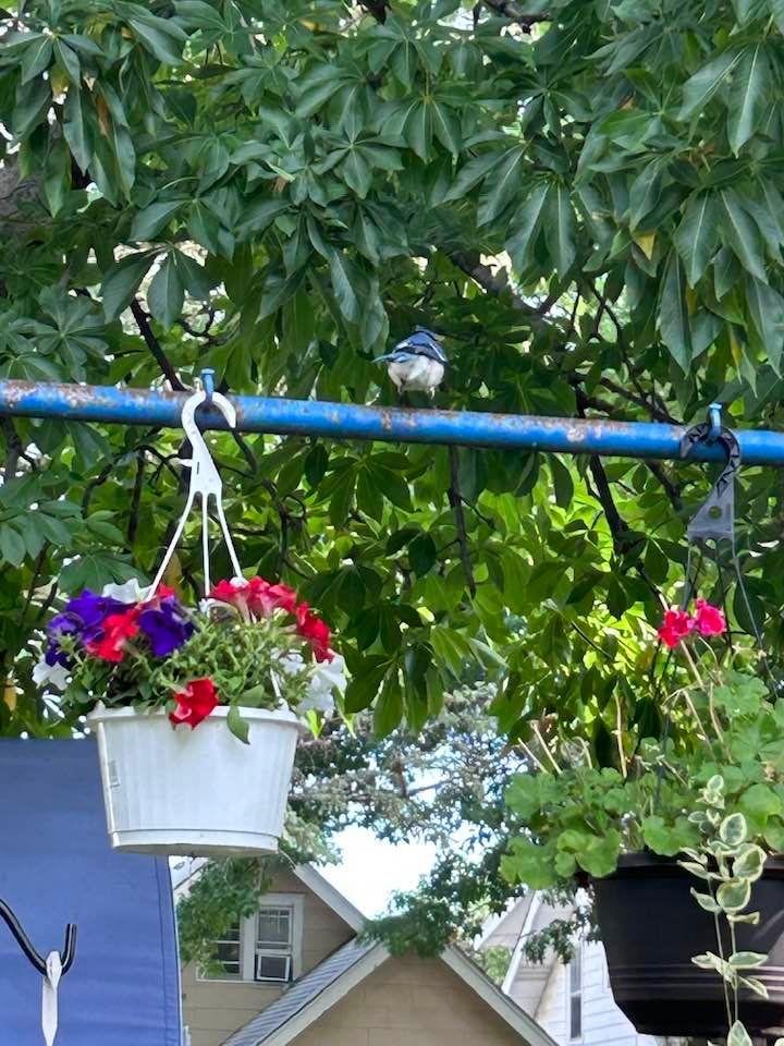Catherine Reasoner's album, Timeline photos