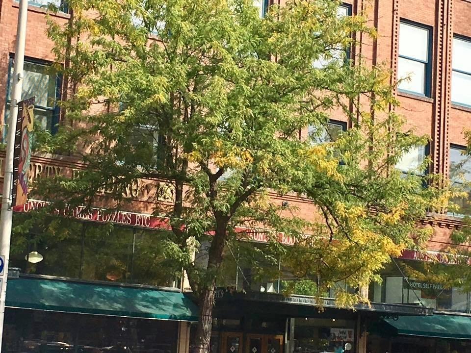 There's just a hint of Fall in the air! You can see the tree is just beginning to turn! I love, love, love the Fall! The smells, the color, the cooler mornings, pulling out sweaters & the food that says cozy, comfort & warm