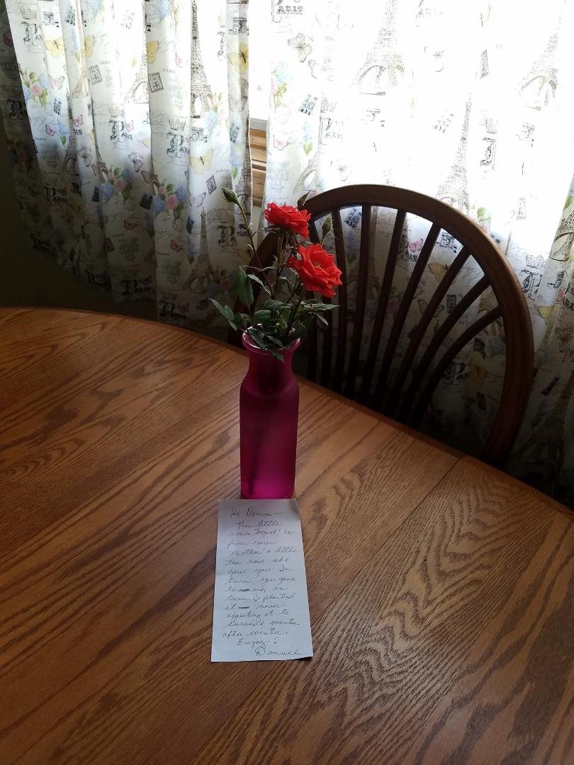 A few years back Mom gave me a tea rose plant. For whatever reason, I couldn't plant it. I gave it to my neighbor Donna Shirmer who planted it. Today she gave me these beautiful roses. Aren't neighbors wonderful.