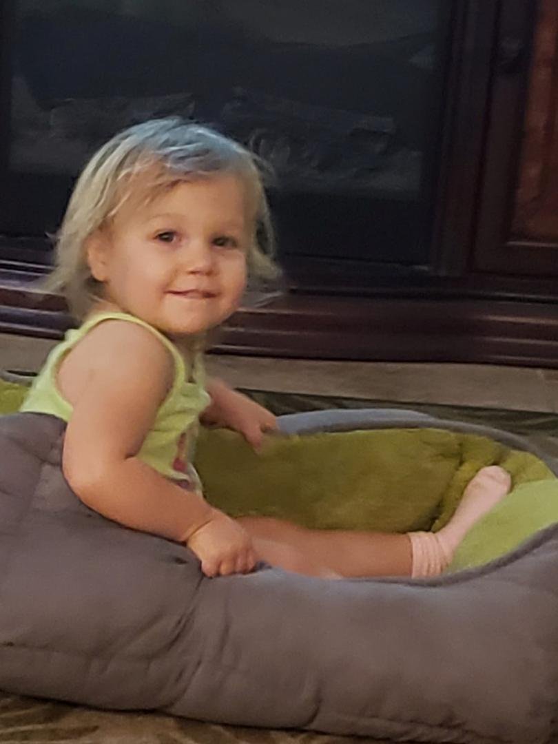 Calista took over Bubba's dog bed, such a cutie.