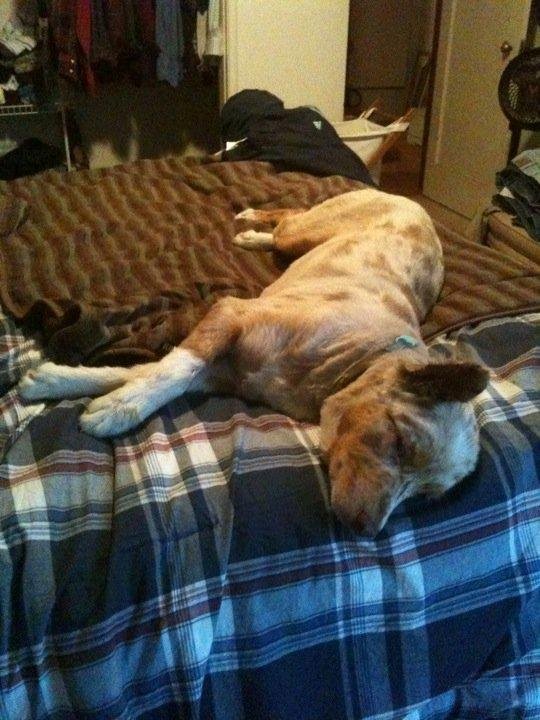 What a life