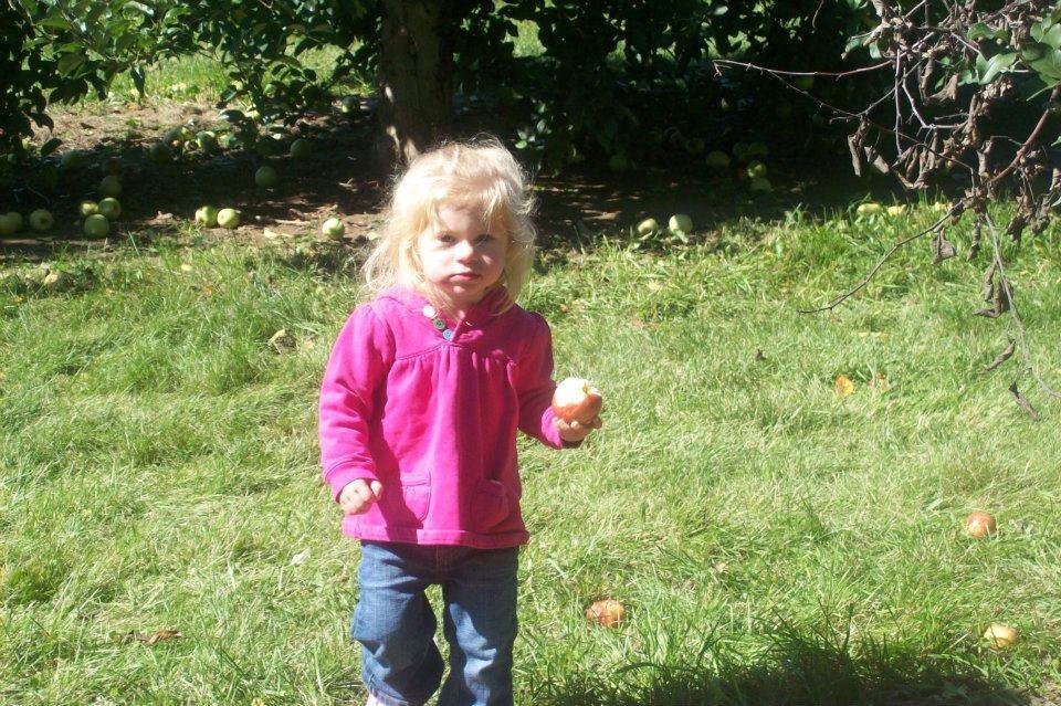Carl Harrison's album, Apple Picking 2011