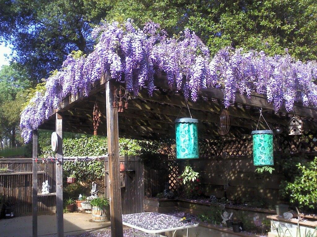 Sonora, CA 
Happy Easter to Every one, LOVE YA
