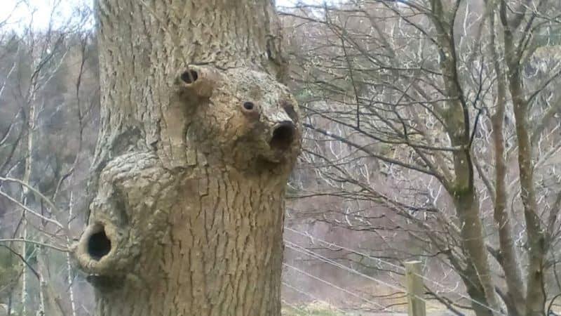A chap called Ian Kerr had this photograph posted by the BBC.  I think it is brilliant.