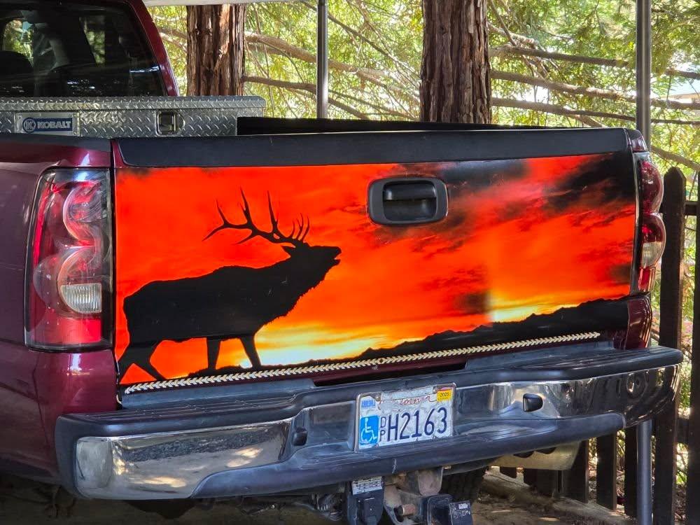 My new vinyl tailgate cover.