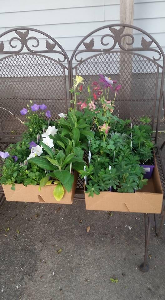 Next stop...Flower Garden