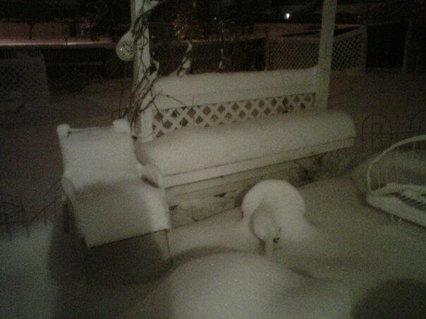 Nice weekend snow storm!