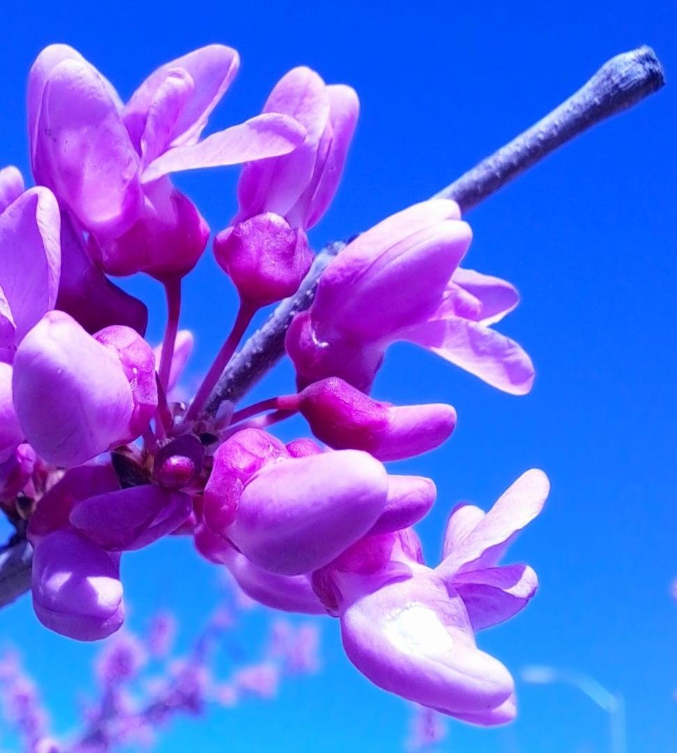Spring has arrived