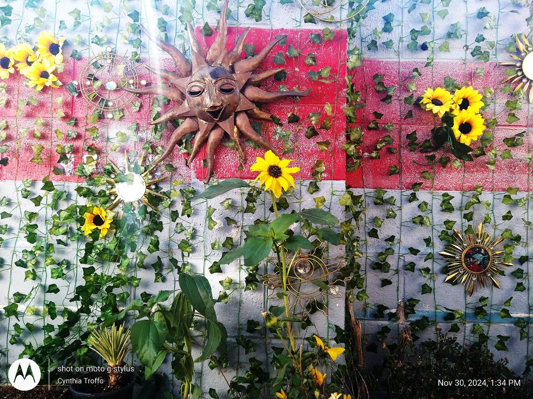 The sunflower in the middle under the sun is the REAL one.This is an outside wall I've been decorating with artificial plants n flowers (right now it's 2 cold out to finish... Anyway crazy how the 1 real flower looks almost