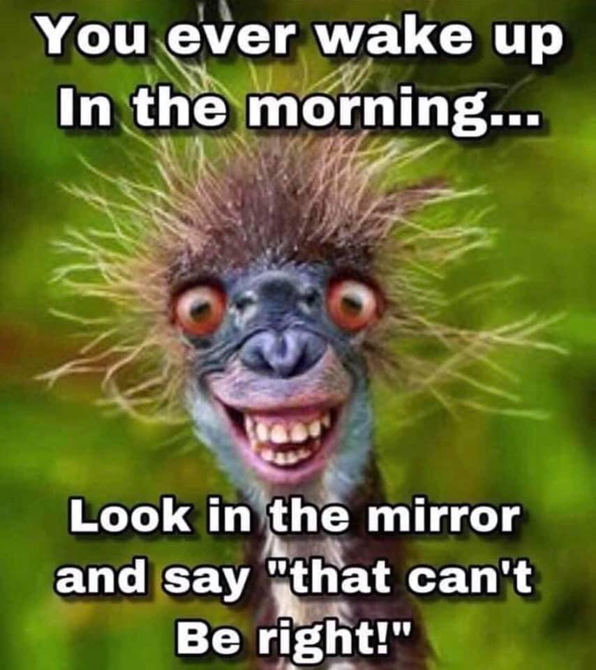 Yes the older I get! 🤣🤣🤣