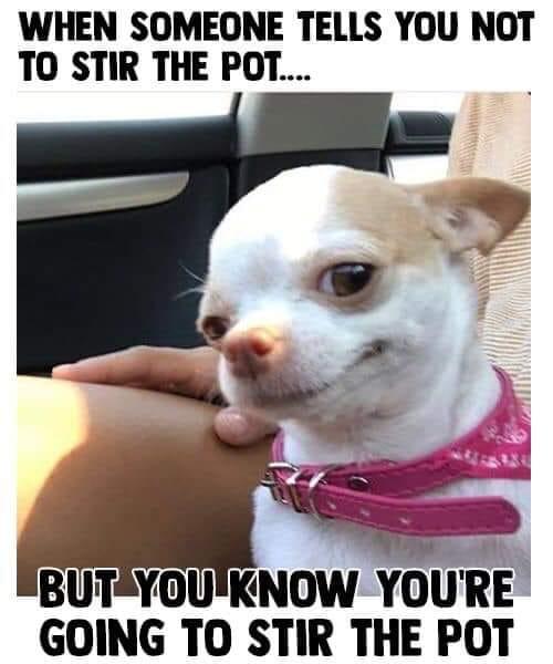 Sharon Roundtree's album, Photos