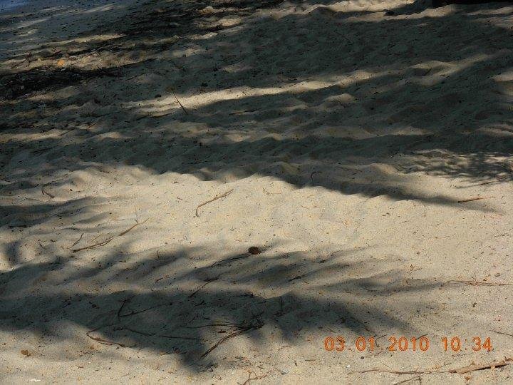 Stephen Little's album, 2010 March BVI