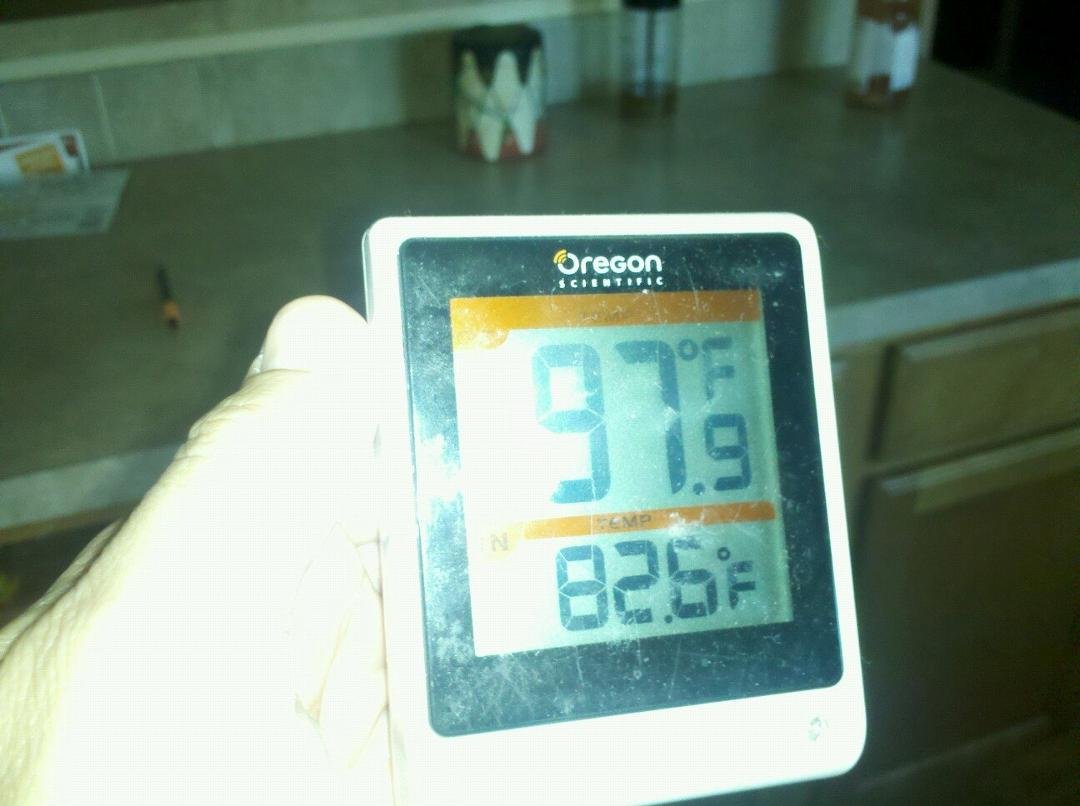 Warm today in Yelm!