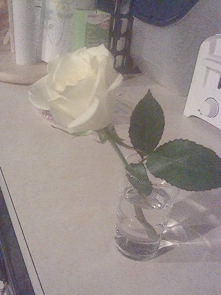 for raymond💜💛💚💙💔
