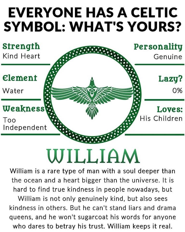 William Flesch's album, Timeline Photos