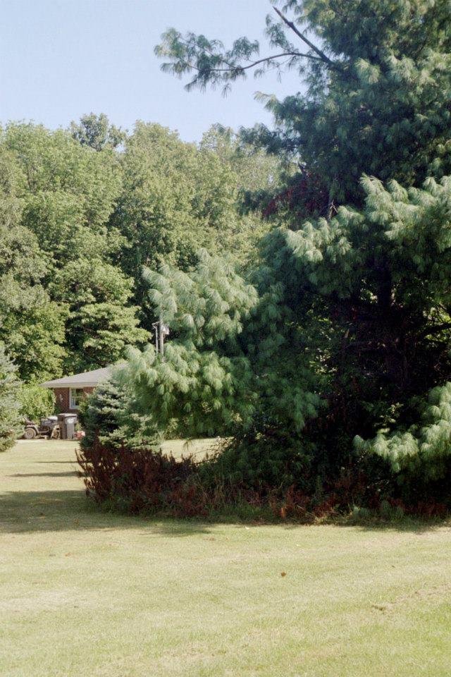 Tim Pertler's album, Middletown