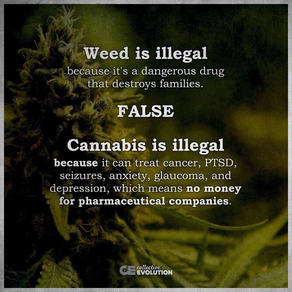 It's time this outdated law which is a victimless crime was changed.