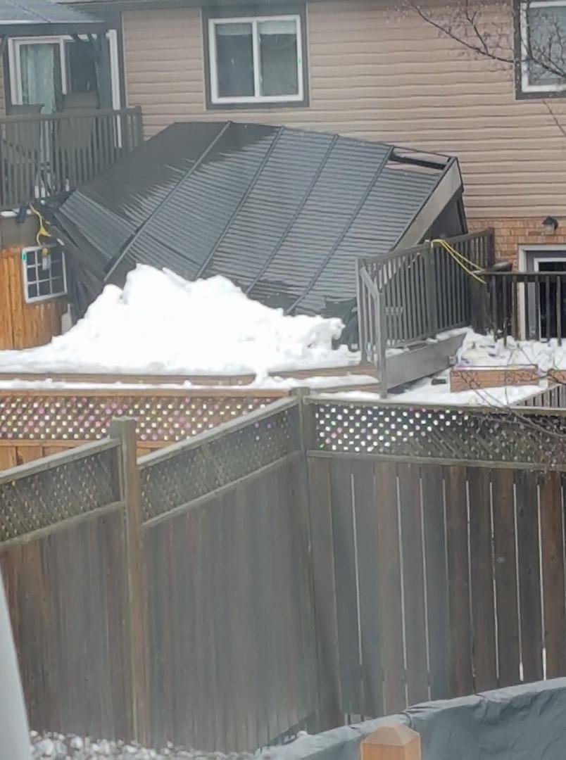 A victim of the ice storm yesterday. 😢