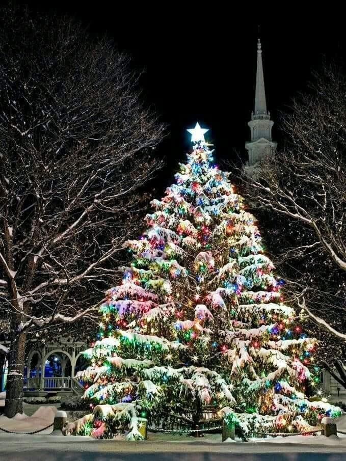 Merry Christmas and Happy New Year to all of my family and friends! May there be love, joy and peace in 2018 for all!