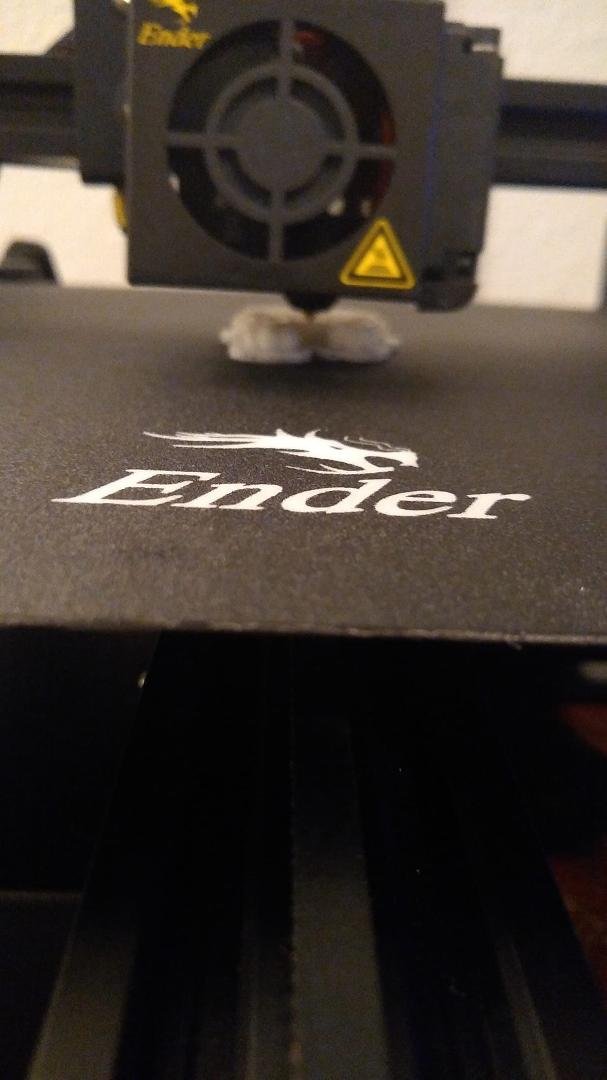 3D Printer, oh my!