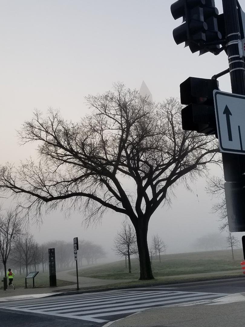 Early morning on Constitution Avenue. Do you see it?