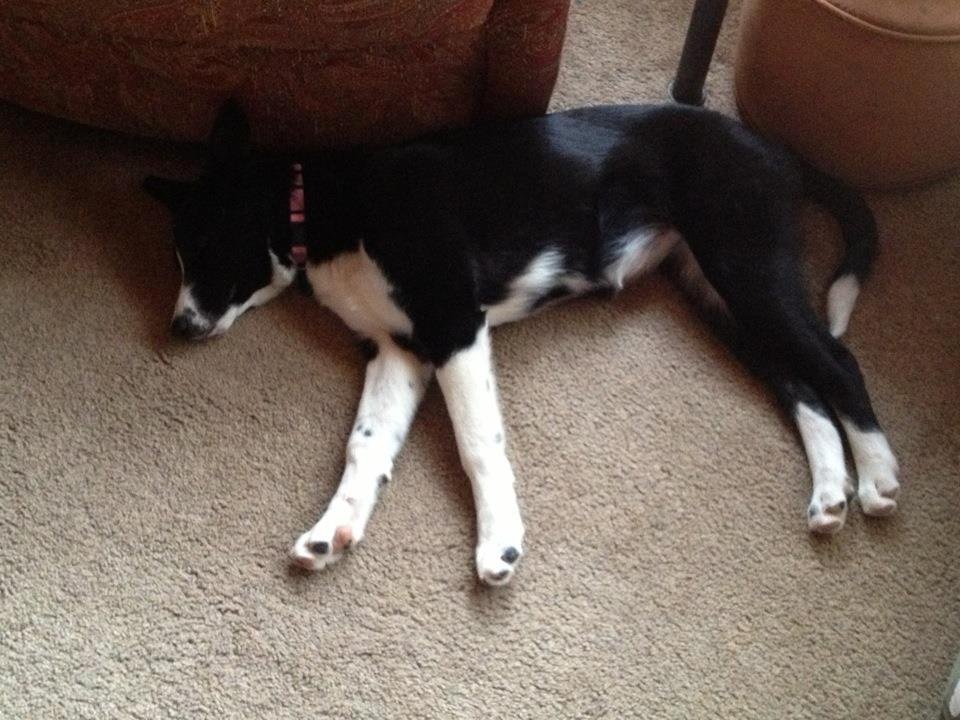 Taking a short nap