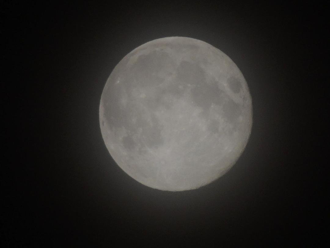 This was my attempt at the "blue" moon last night...
