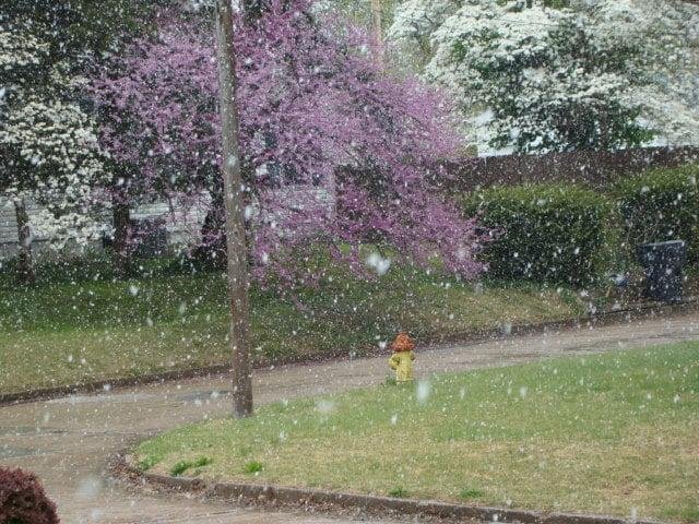It was 4/20/2021 - Gay's snowman post was early on. Just under an inch.