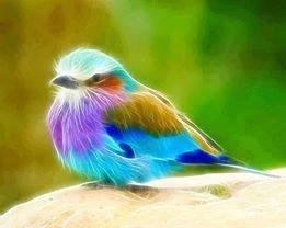Deane Gates' album, Timeline Photos