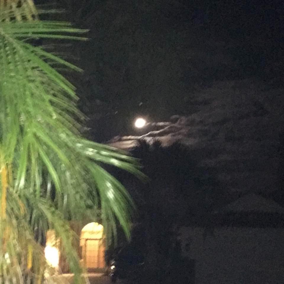 Joy Chanzes' album, Timeline Photos