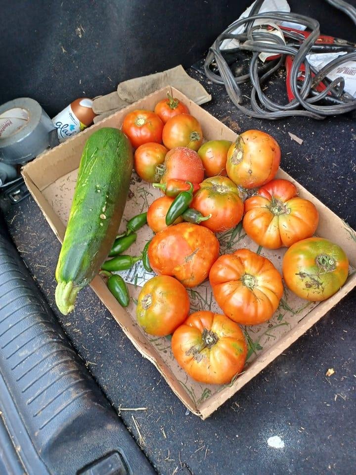 Starting to get stuff from the garden.